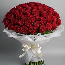 Букет 101 Красная роза Блэк Мэджик в Дрожжино