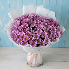 Букет цветов из:  Хризантемы в Дрожжино