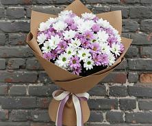 Букет цветов из:  Хризантемы #REPLACE_PRED# Дрожжино