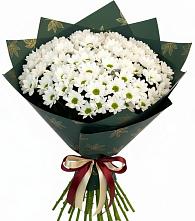 Букет цветов из:  Хризантемы #REPLACE_PRED# Дрожжино