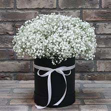Цветочная композиция из Гипсофила в шляпной коробке в Дрожжино
