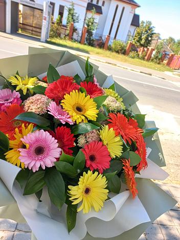 Букет цветов из: Герберы в Дрожжино